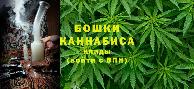 Марихуана Ganja  Бор 